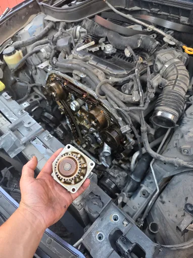 Engine bay opened for timing and mechanical work